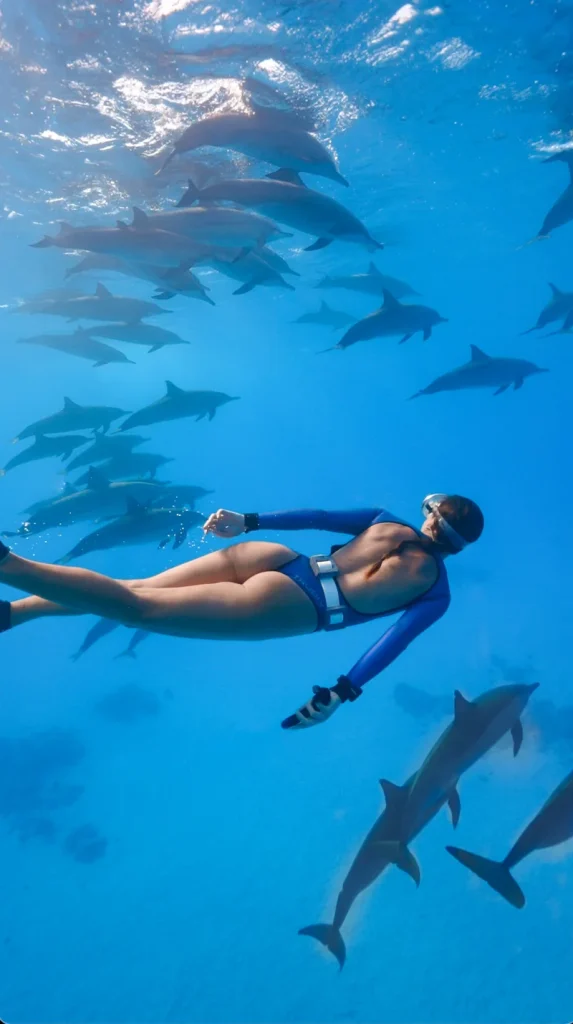 Apneísta nadando entre delfines bajo la superficie del mar
